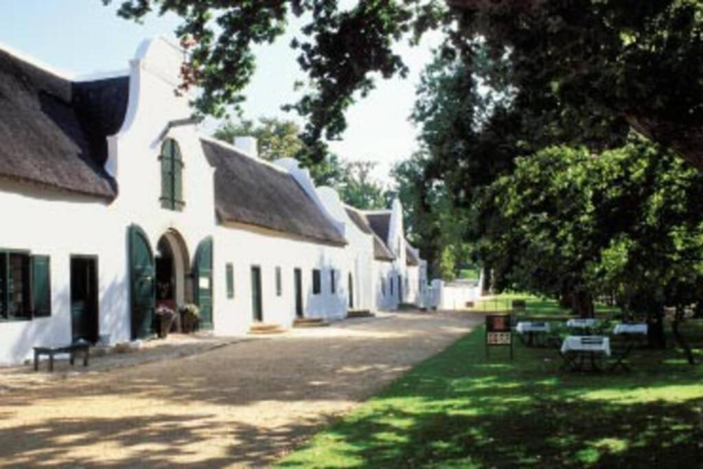 The Paragon Solo Modern Deluxe Central To Cape Town Bagian luar foto